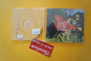 Pet Shop Boys Paninaro 95 (Maxi CD)