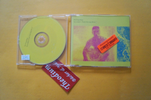 Pet Shop Boys Se a Vida é (Maxi CD)