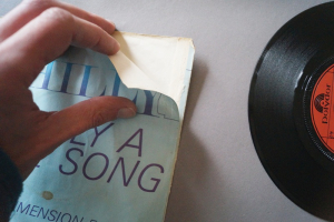 Chilly Simply a Love Song (Vinyl Single 7inch)