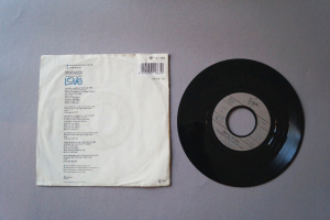Danny Wilson The second Summer of Love (Vinyl Single 7inch)