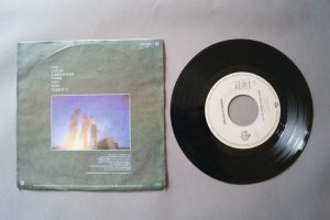 Dream Academy Life in a Northern Town (Vinyl Single 7inch)