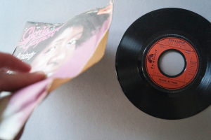 Gloria Gaynor Anybody wanna party (Vinyl Single 7inch)