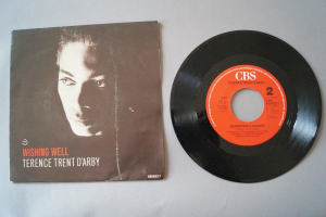 Terence Trent d´Arby Wishing well (Vinyl Single 7inch)