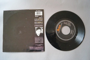 Picnic at the Whitehouse Success (Vinyl Single 7inch)