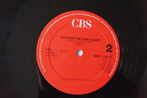 T.X.T. Girl´s got a Brand New Toy (Vinyl Maxi Single)