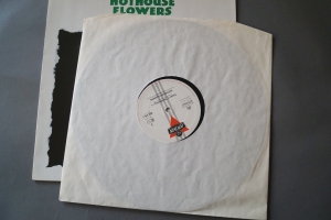 Hothouse Flowers Easier in the Morning (Vinyl Maxi Single)
