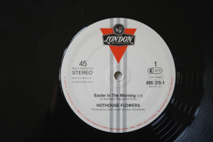 Hothouse Flowers Easier in the Morning (Vinyl Maxi Single)