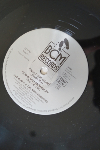 Jive Bunny Swing the Mood (Vinyl Maxi Single)