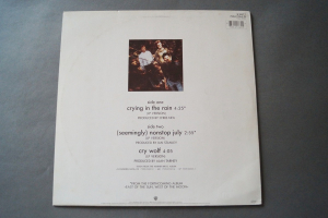 A-ha Crying in the Rain (Vinyl Maxi Single)
