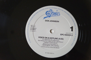 Don Johnson Voice on a Hotline (Vinyl Maxi Single)