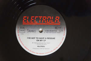 Wilfried I´ve got to have a Reggae... (Vinyl Maxi Single)