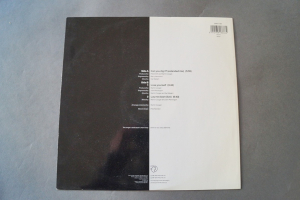 Mock Turtles Can You Dig it (Vinyl Maxi Single)