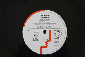 Mock Turtles Can You Dig it (Vinyl Maxi Single)