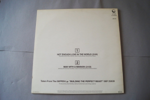 Don Henley Not enough Love in the World (Vinyl Maxi Single)