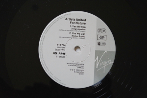 Artists for Nature Yes we Can (Vinyl Maxi Single)