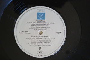 Level 42 Running in the Family (Vinyl Maxi Single)