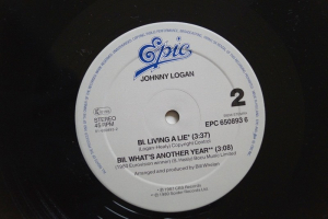 Johnny Logan Hold me now (Vinyl Maxi Single)