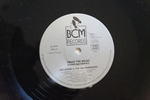 Jive Bunny Swing the Mood (Vinyl Maxi Single)