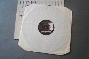 Icicle Works Who do You want for Your Love (Vinyl Maxi Single)