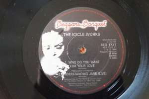 Icicle Works Who do You want for Your Love (Vinyl Maxi Single)