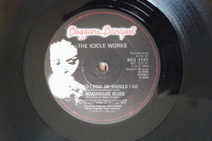 Icicle Works Who do You want for Your Love (Vinyl Maxi Single)