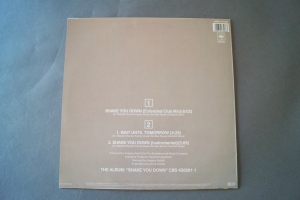 Gregory Abbott Shake you down (Vinyl Maxi Single)