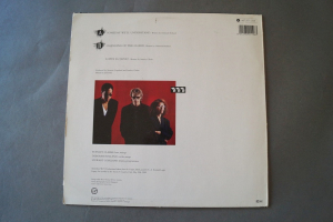 Animal Logic Someday we´ll understand (Vinyl Maxi Single)