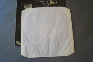 Animal Logic Someday we´ll understand (Vinyl Maxi Single)