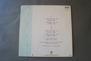 By all Means Somebody Save me (Vinyl Maxi Single)