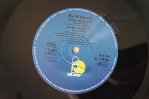 By all Means Somebody Save me (Vinyl Maxi Single)