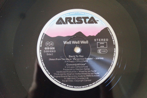 Well Well Well Back to You (Vinyl Maxi Single)