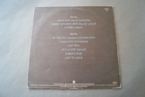 Arlo Guthrie The Best of (Vinyl LP)