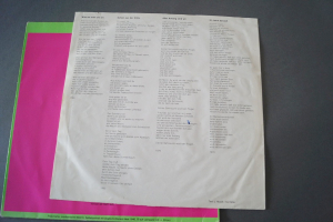 Ina Deter Band Aller Anfang sind wir (Vinyl LP)