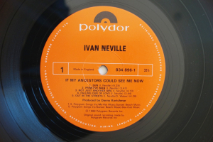 Ivan Neville If my Ancestors could... (Vinyl LP)