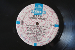 U.T.F.O. Skeezer Pleezer (Vinyl LP)