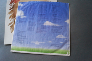 Veronika Fischer Staunen (Vinyl LP)