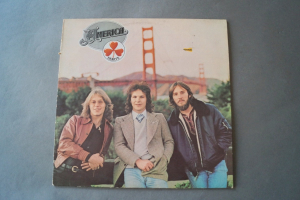 America Hearts (Vinyl LP)