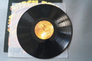 Virgil Fox Plays the Classics (Vinyl LP)