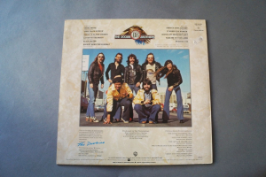 Doobies Best of (Vinyl LP)