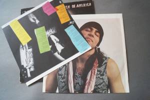Little Steven Voice of America (Vinyl LP)
