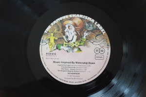 Bo Hansson Music inspired by Watership Down (Vinyl LP)