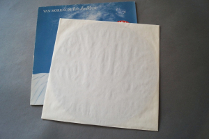 Van Morrison Into the Music (Vinyl LP)