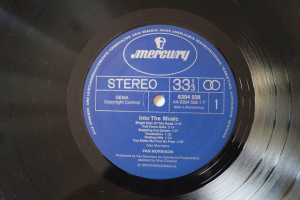 Van Morrison Into the Music (Vinyl LP)