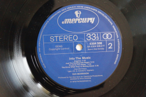 Van Morrison Into the Music (Vinyl LP)