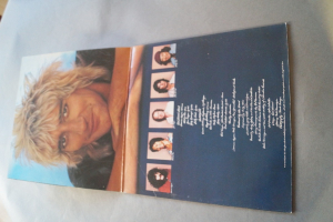 Rod Stewart Blondes have more Fun (Vinyl LP)