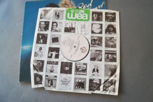 Rod Stewart Blondes have more Fun (Vinyl LP)