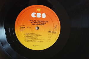 Neil Diamond I´m glad you´re here with me tonight (Vinyl LP)