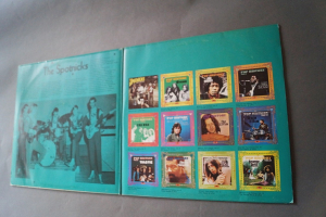 Spotnicks Pop History (Vinyl 2LP)