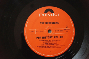 Spotnicks Pop History (Vinyl 2LP)