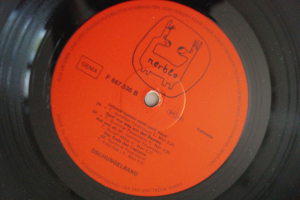 Dschungelband, Die Jetzt oder nie (Vinyl LP)